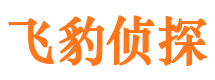 集安市侦探公司